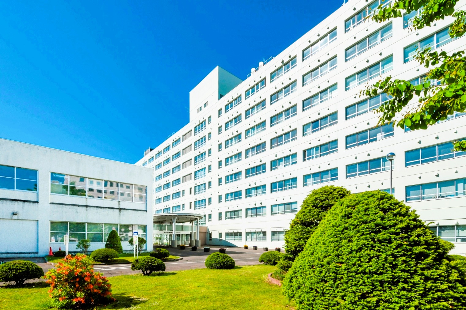 国立大学法人旭川医科大学