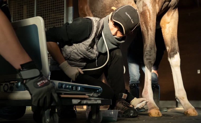 27年卒★獣医師サムネイル