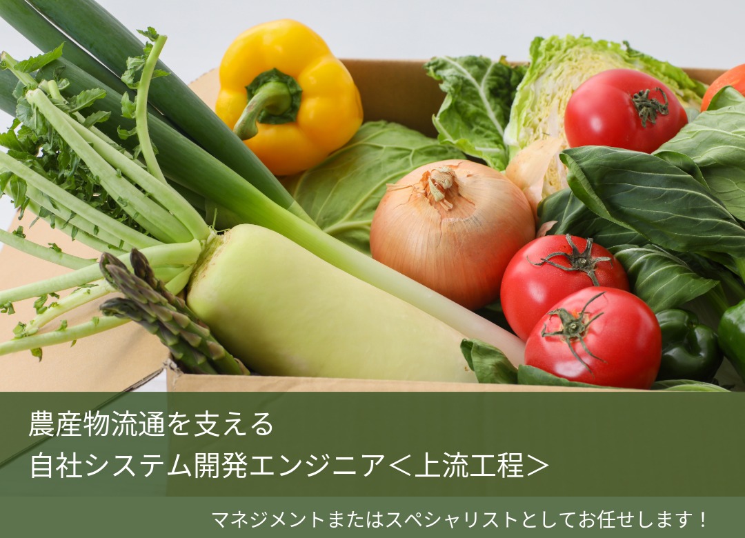 リモート可【自社サービス開発エンジニア】上流スペシャリスト/スタンダード上場サムネイル